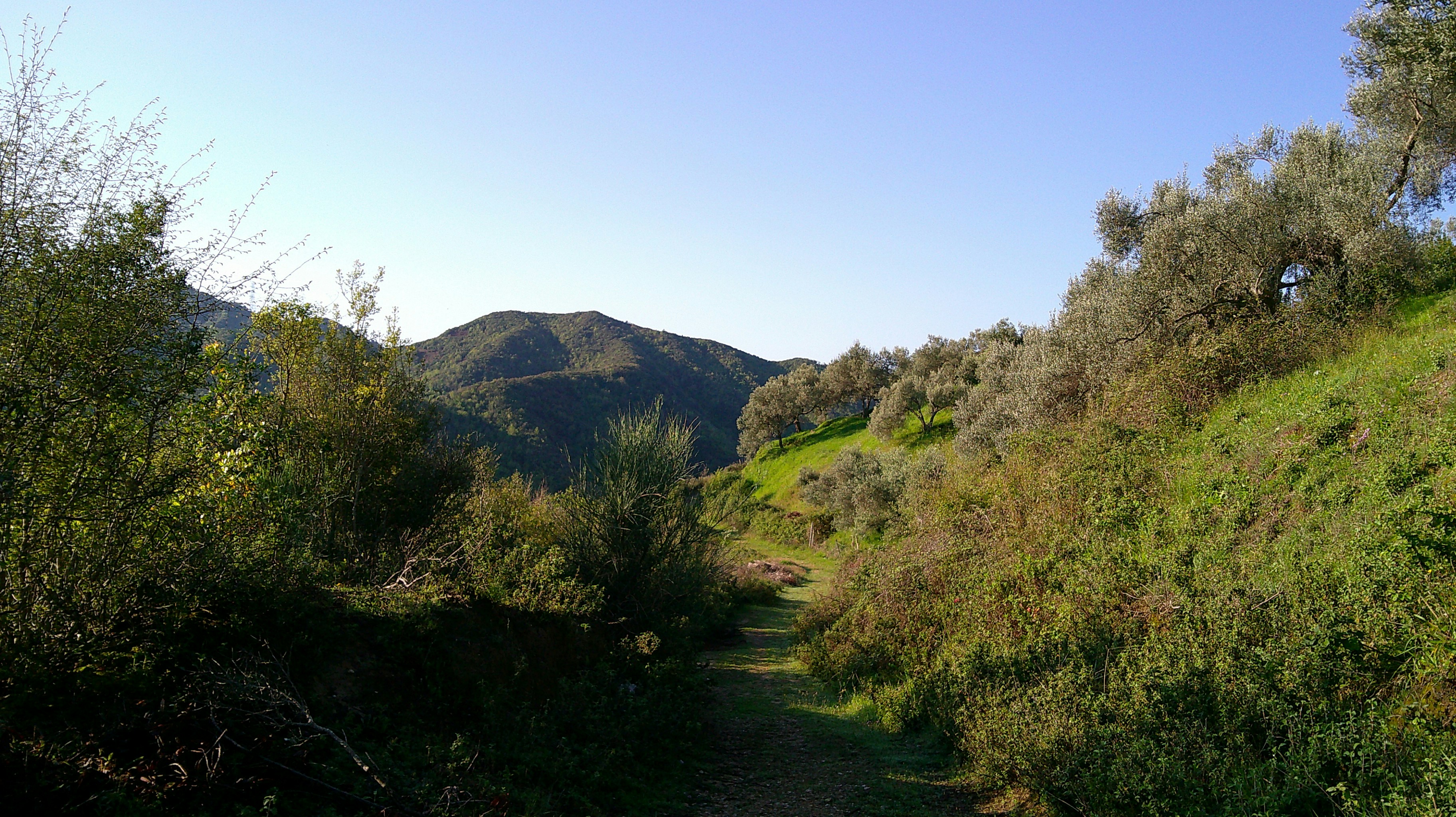 fli-hi-NbtqJVvVYeU-unsplash